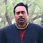 অরণ্য মজিদ